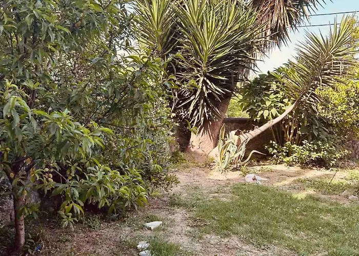 Agi's * Alykes Potamou